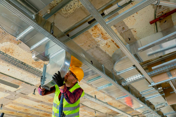 Best Heating repair services  in Honokaa, HI