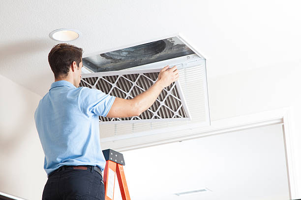 Best HVAC maintenance near me  in Honokaa, HI